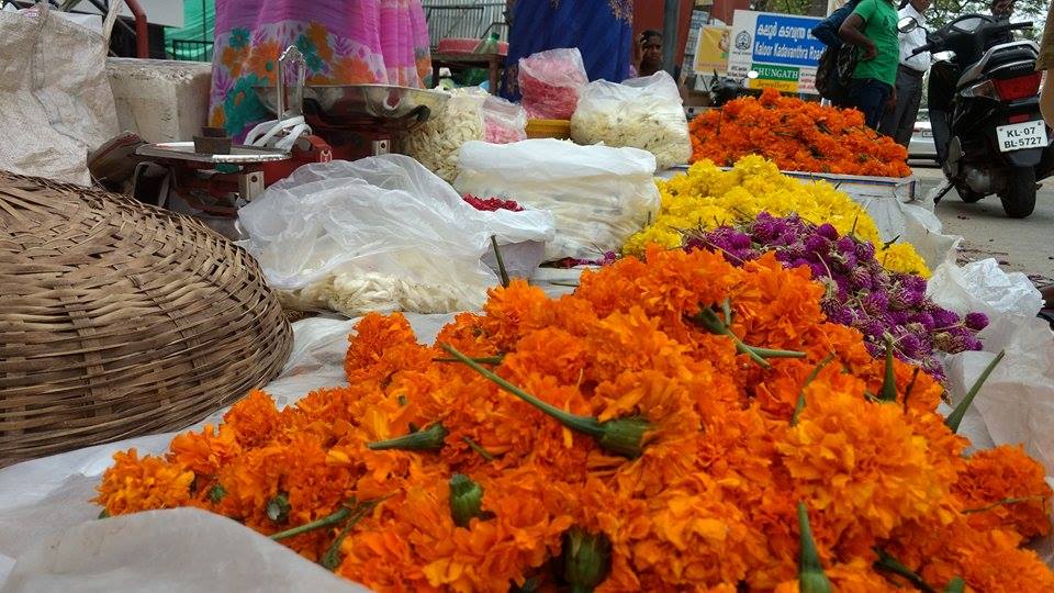 onam flowers pice rise
