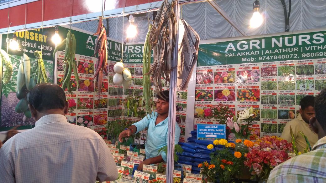 flowers shopping festival and flowers show launched