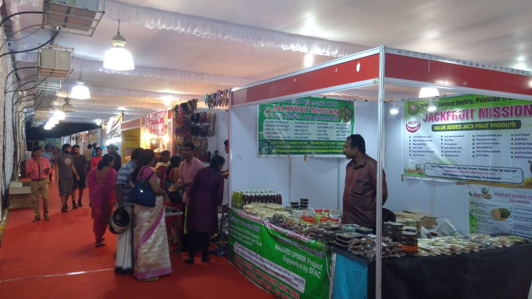 flowers shopping festival and flowers show launched