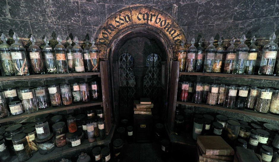Harry Potter Themed Cruise