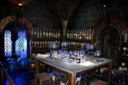 Harry Potter Themed Cruise