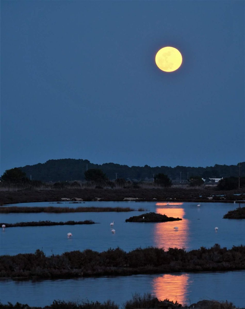 the best pictures of blood moon