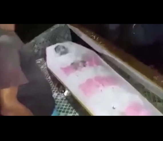 37 Year Old Woman Buried Alive 