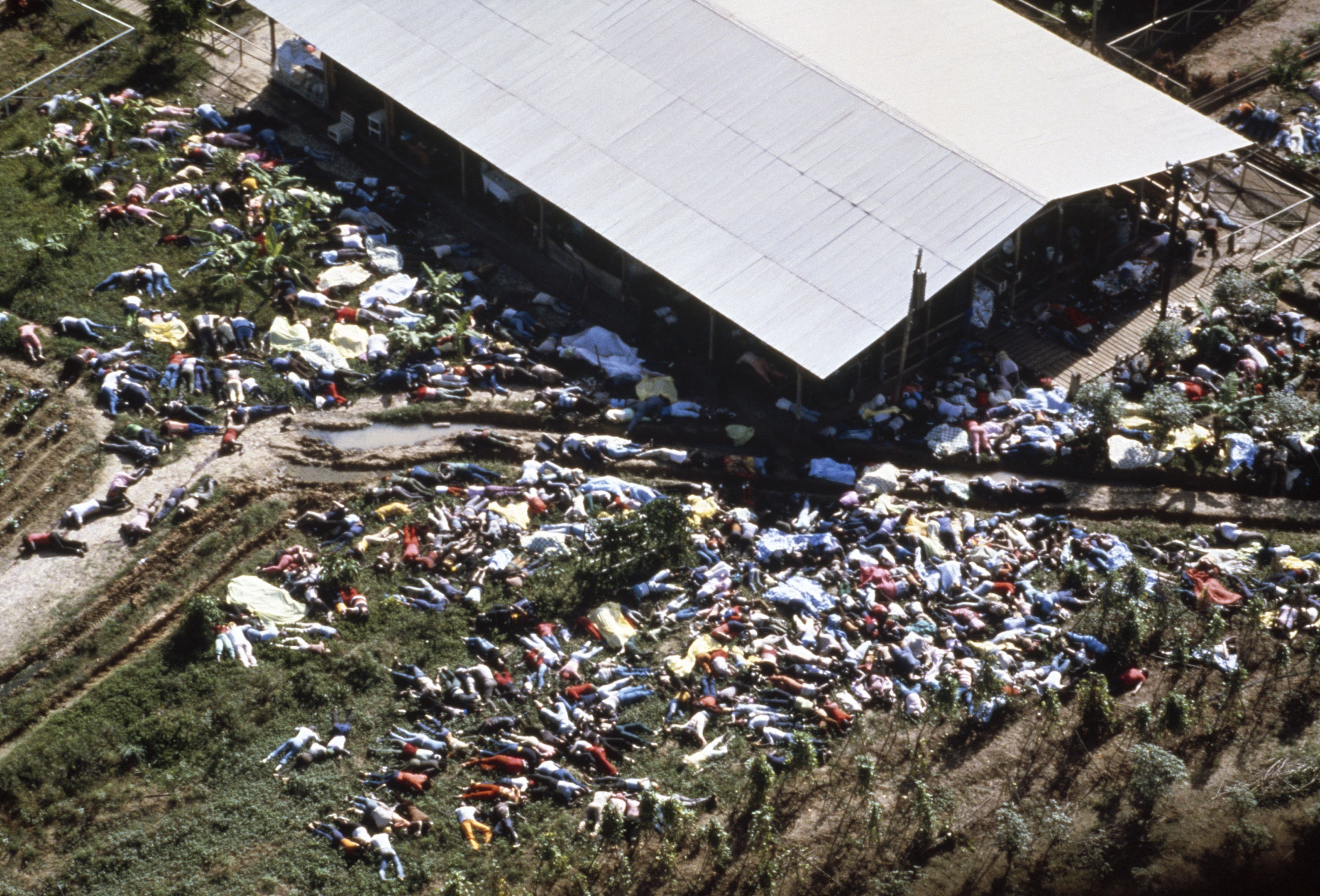 The Tragic Story Of Jonestown masaccre 