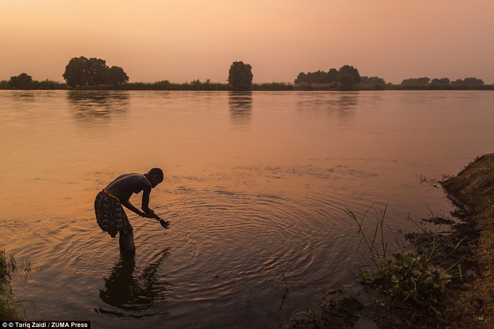 the tribe that bath in cow urine 