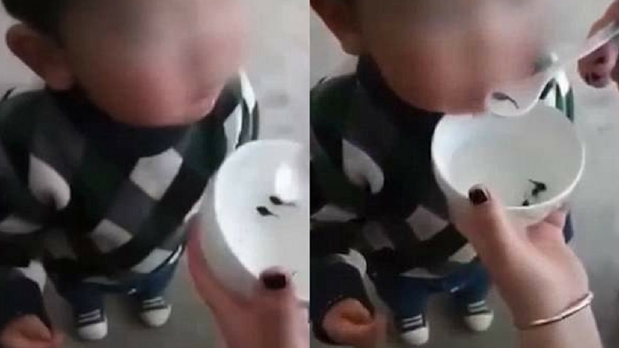 mother gives tadpoles to kid for good health