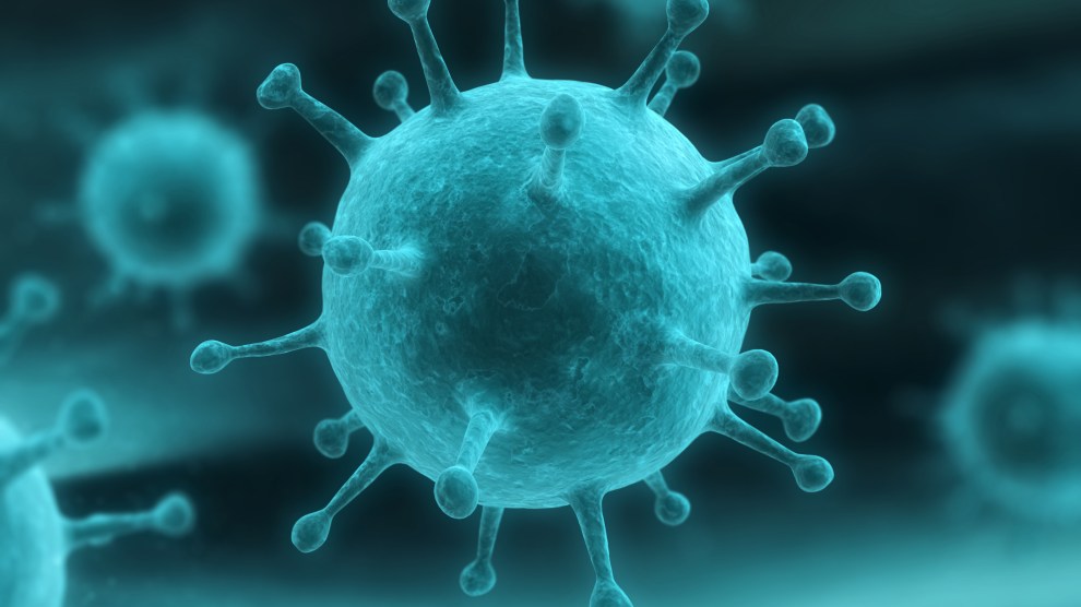 nipah virus