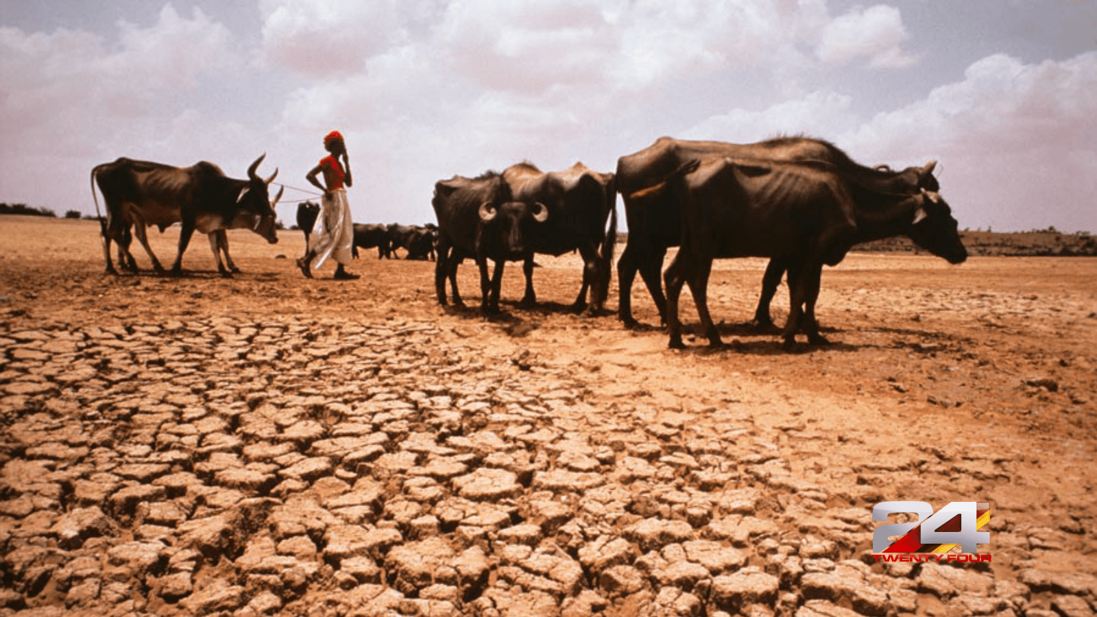 draught-india