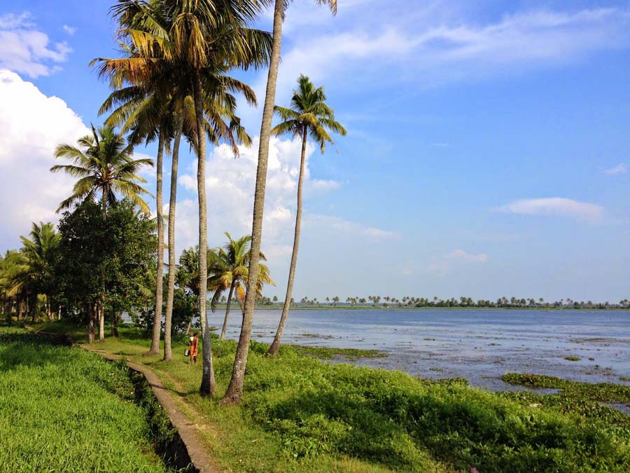 dubai company plans to farm in methrankayal
