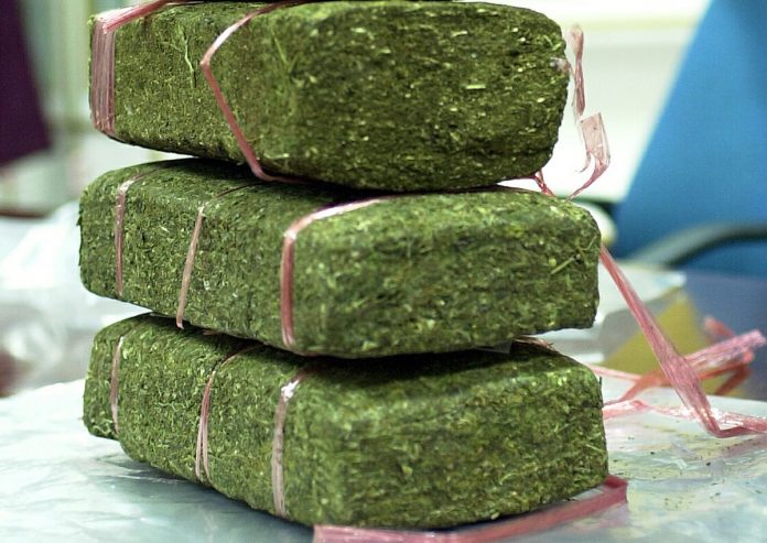 thrissur ganja hunt 9 kg cannabis and 9 lakh rupees seized
