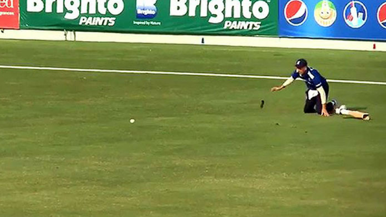 cricket
