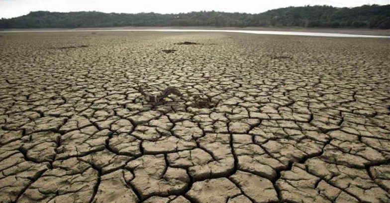 drought field