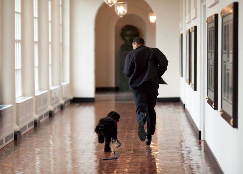 obama