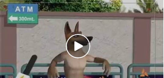 funny video