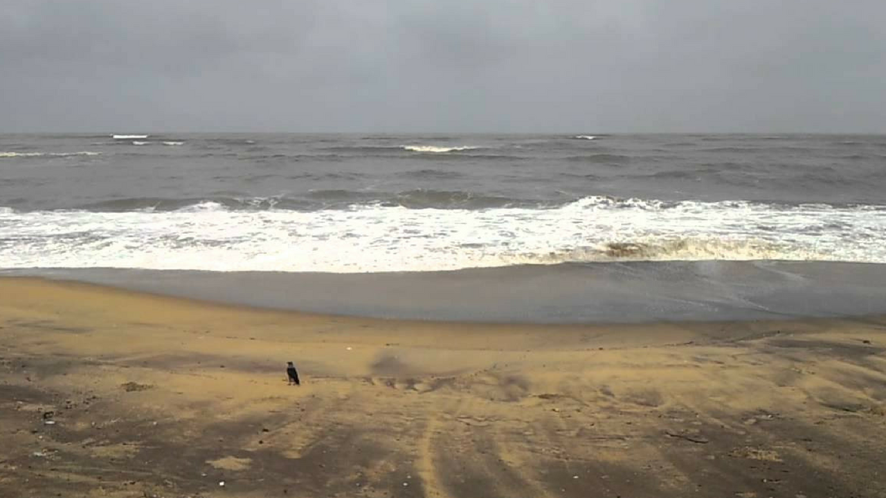 sea-shore-calicut-1