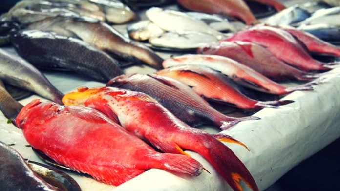 adulteration in fish
