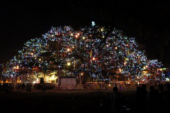 cochin-carnival