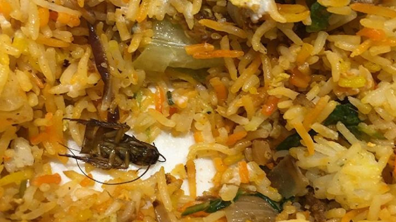 bug in food