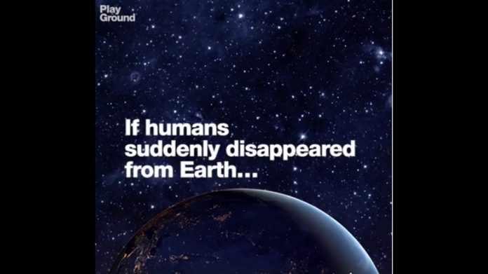 what happens if there are no humans in this world