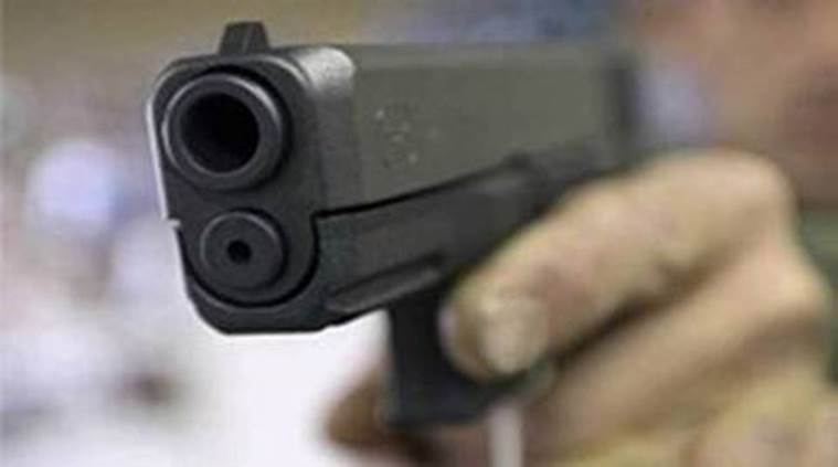 gun