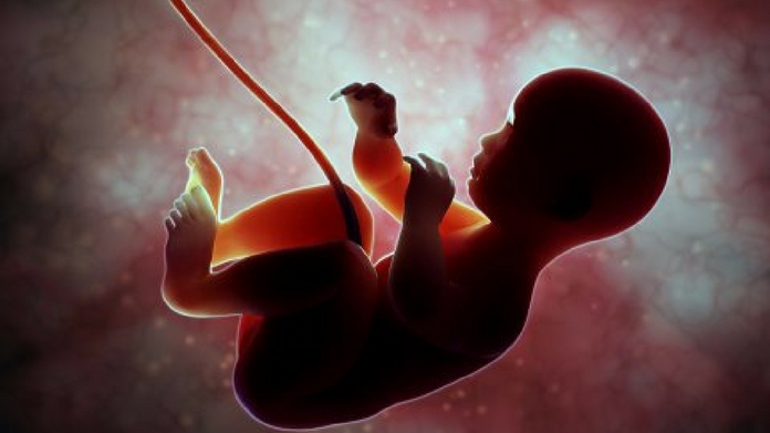 sc allows aborting partially grown fetus