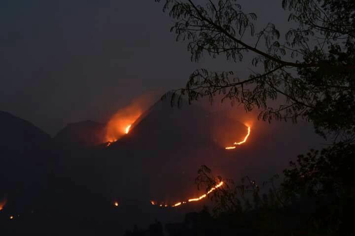 heavy forest fire in wayanad