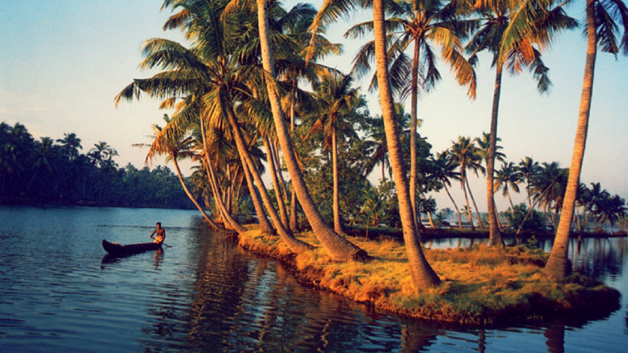 BACK WATER