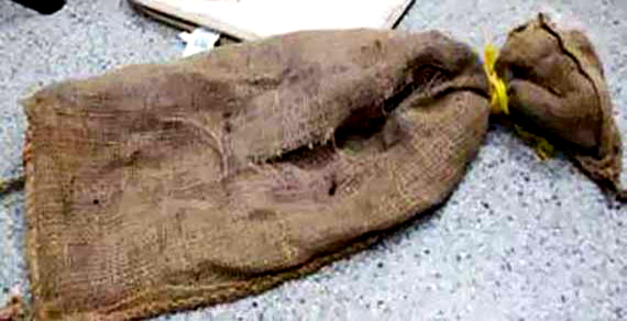 Sack-dead-body