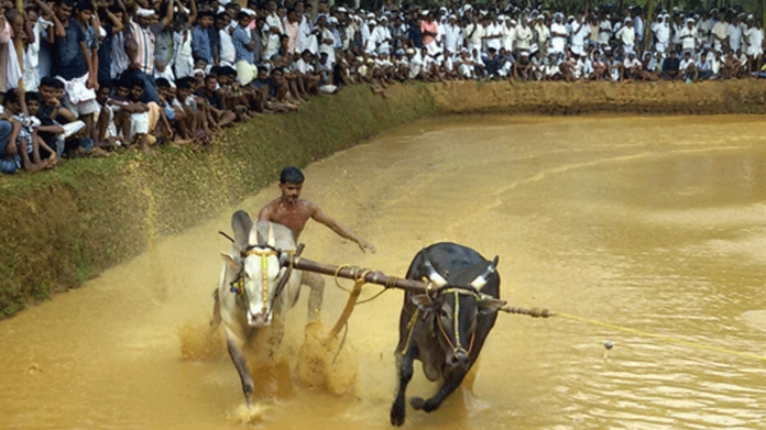 kalapootu at malappuram