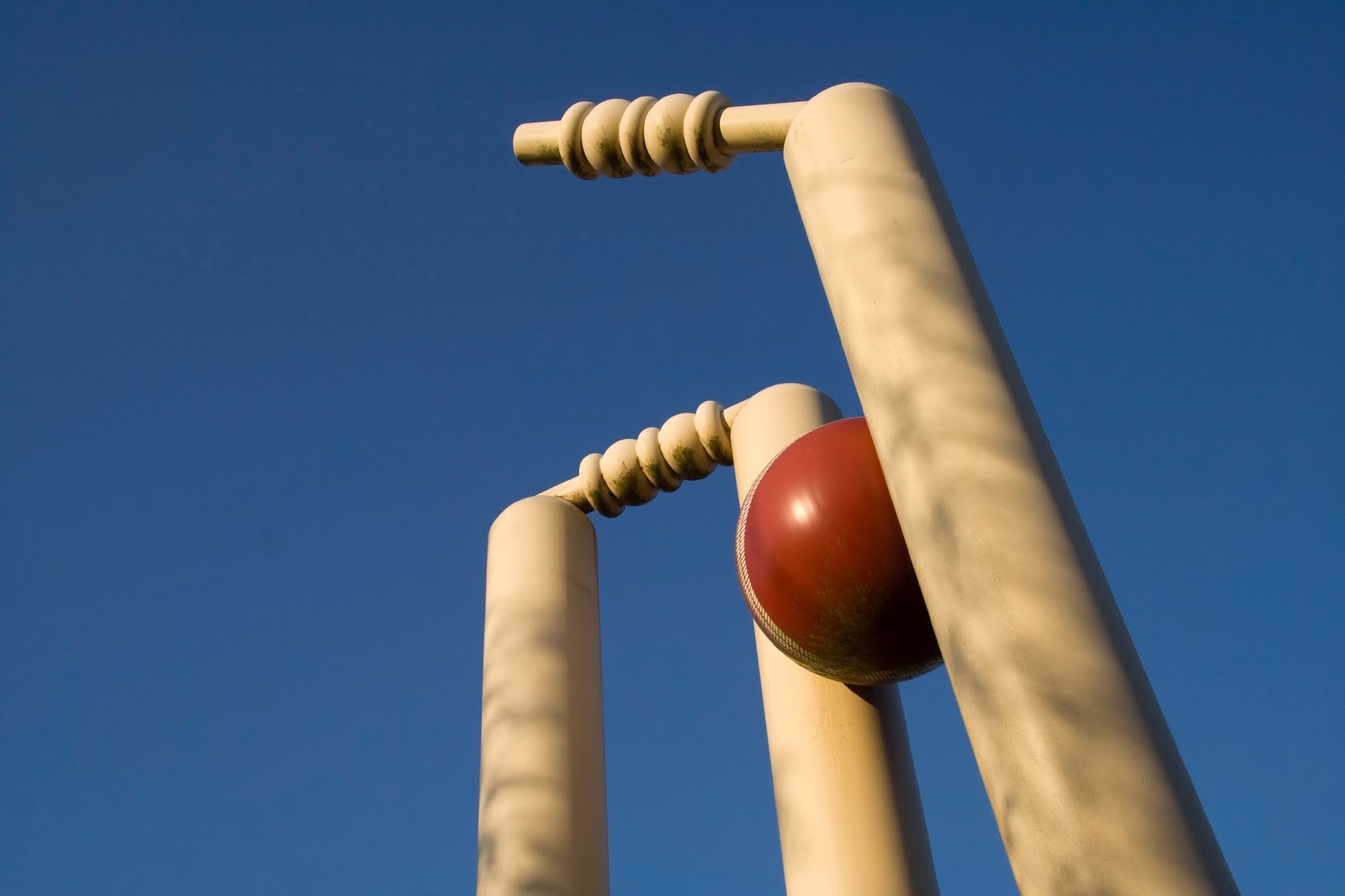 cricket