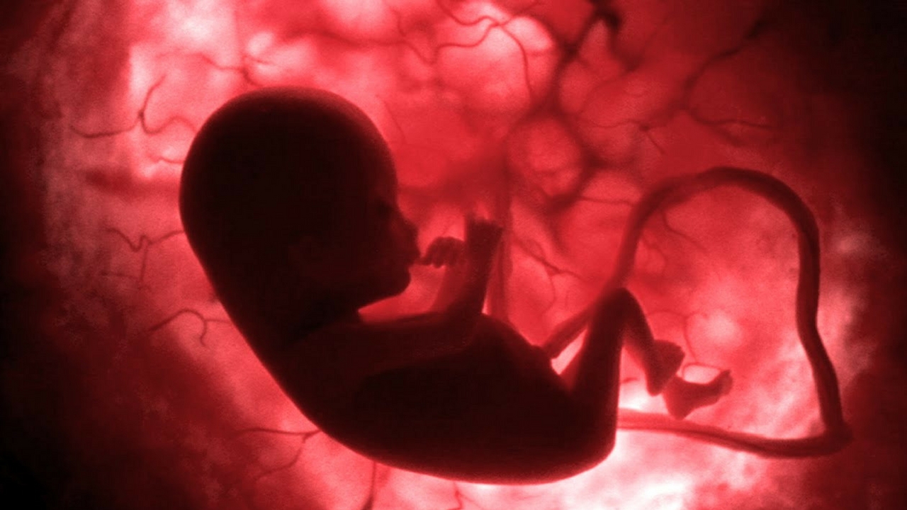 child in womb