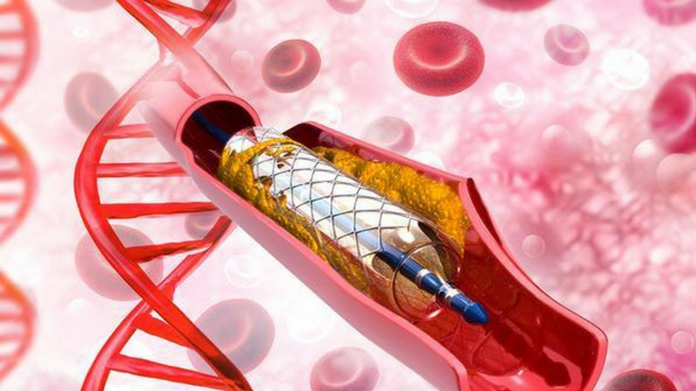 govt will distribute stents says kk shailaja