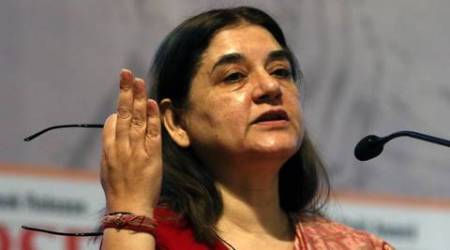 maneka gandhi