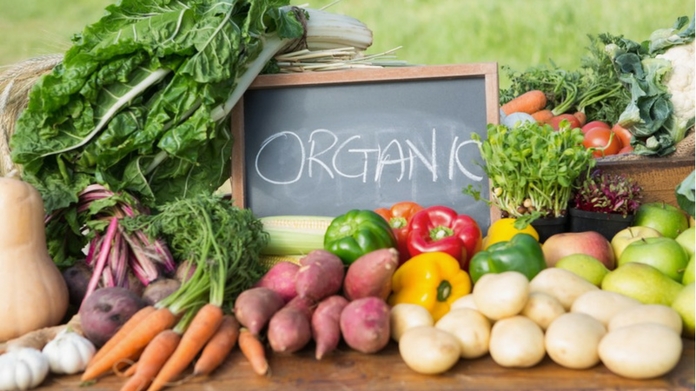organic agro fest from april 7 to 11