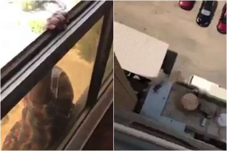 Woman in Kuwait films her maid falling from window instead of helping