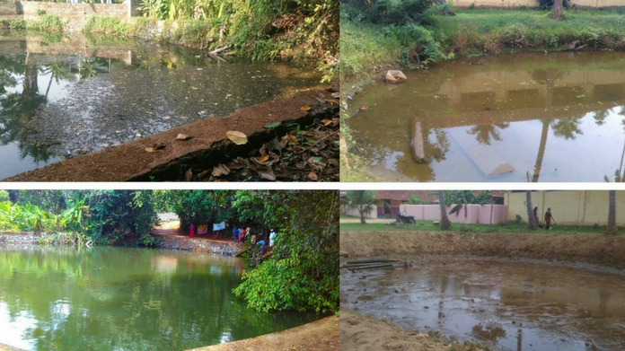 100 ponds in 50 days