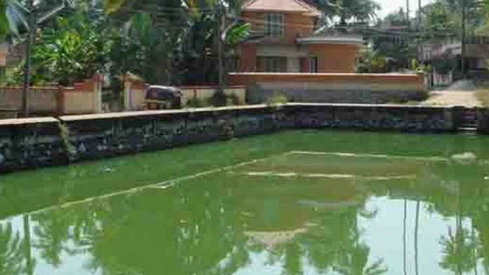 pond