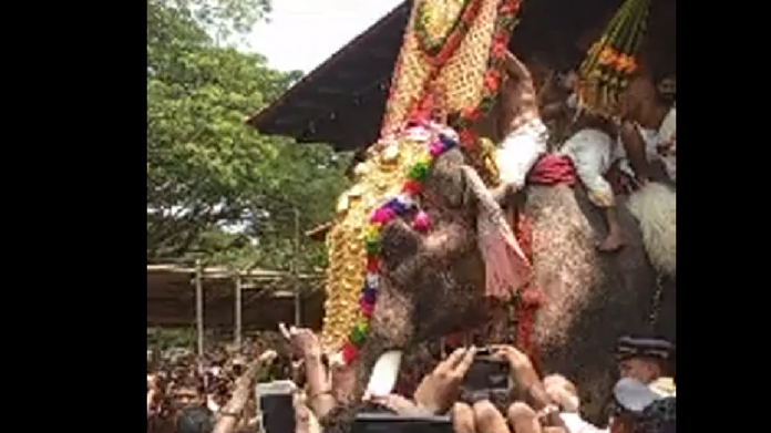 trissur pooram