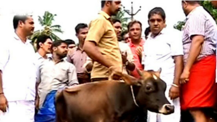 gopooja
