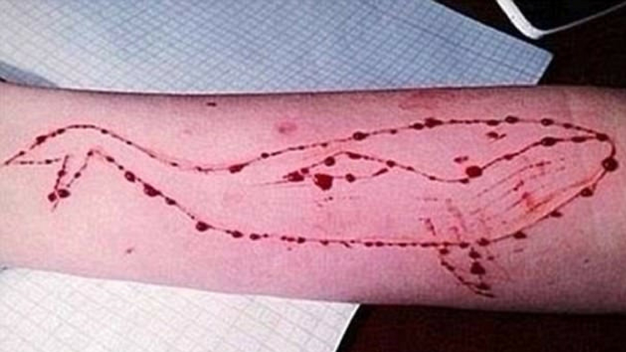 blue whale game blue whale killer game victims in kerala no suicide cases regarding blue whale confirmed in state says DGP