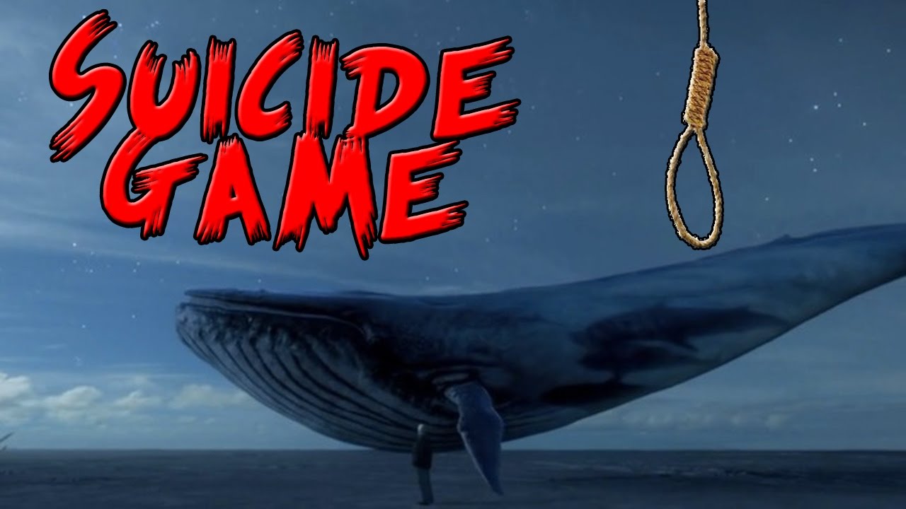 cm sends letter to pm regarding blue whale game