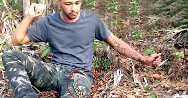 Nick the wrangler encounter rattle snake