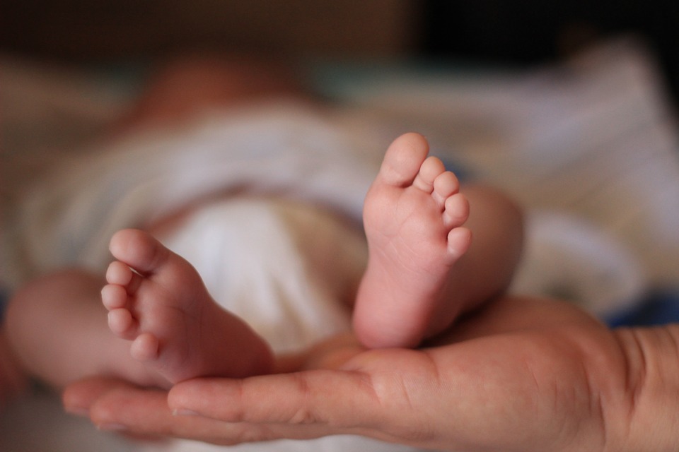 texas new adoption law