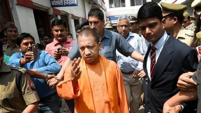 yogi