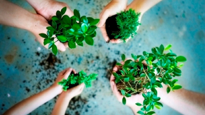 world environment day