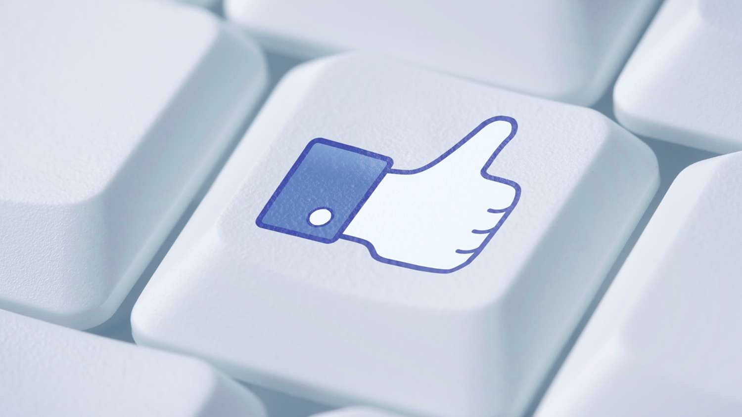 how to activate facebook profile picture guard