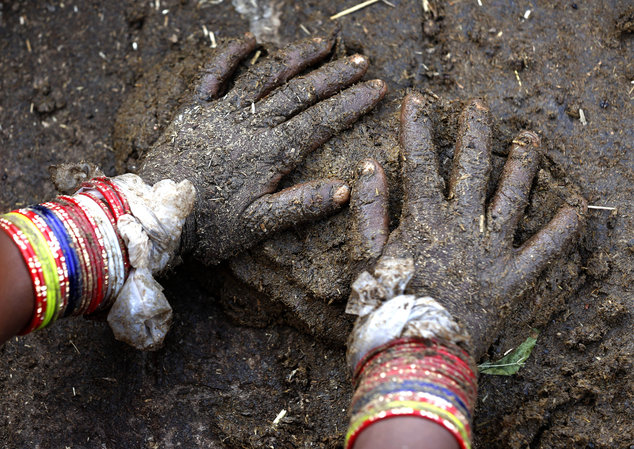 teen forced eat cow dung