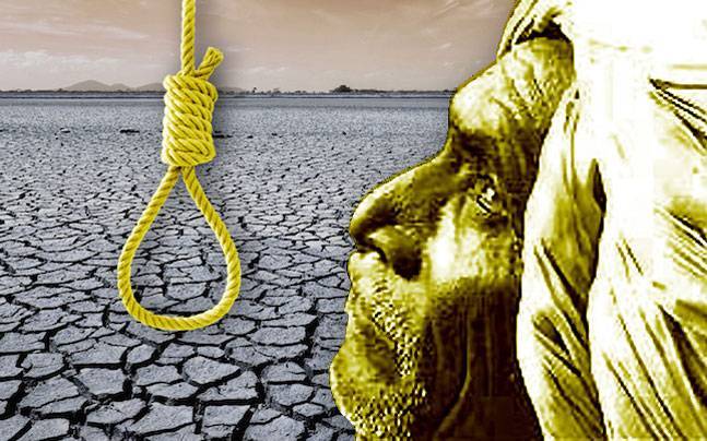 farmer suicide odisha farmer suicide again