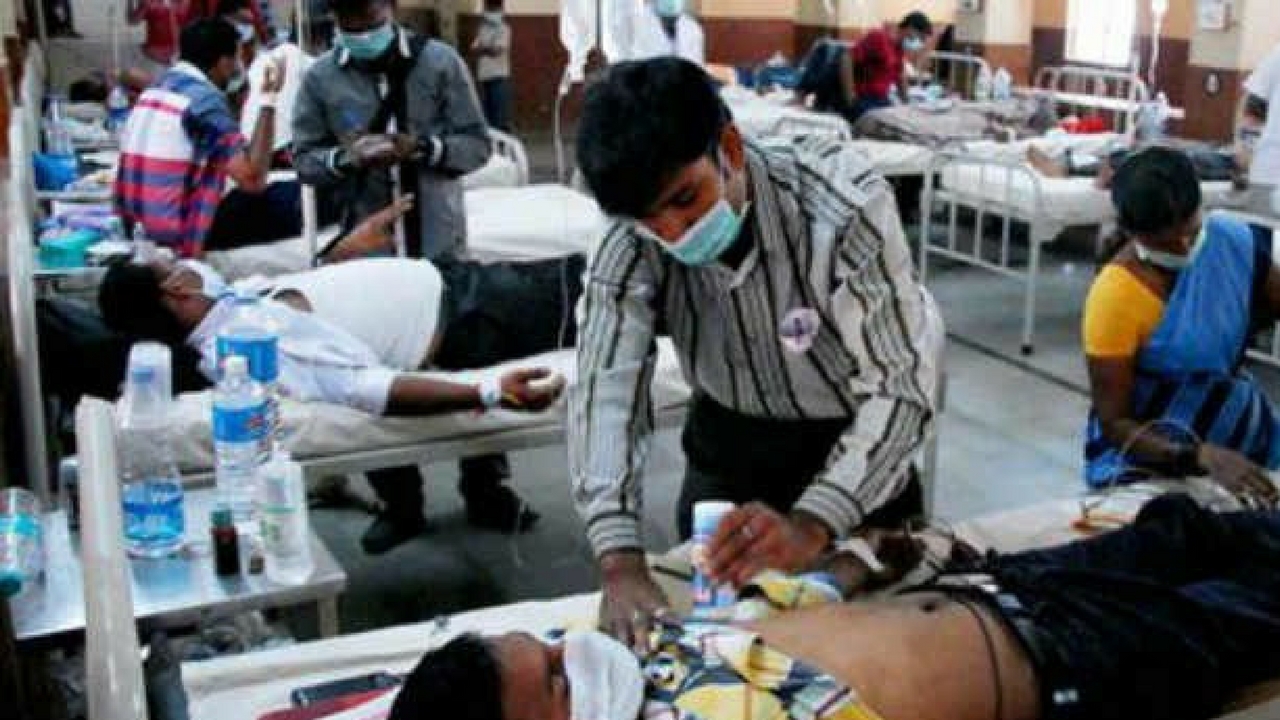 fever should ensure free medication for viral fever affected people swine flu grips state death toll touches 343