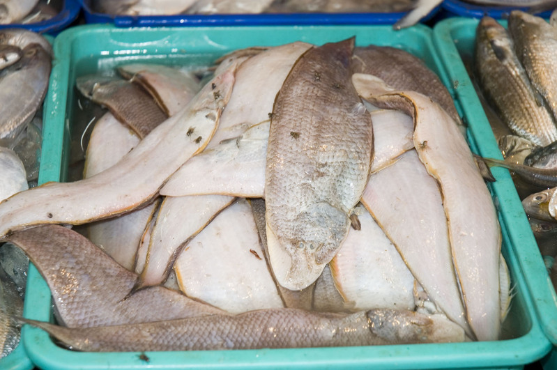 filthy fish